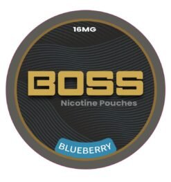 Boss Blueberry 16mg Nicotine Pouches – Slim Snus | 20 Pouches | Dubai UAE
