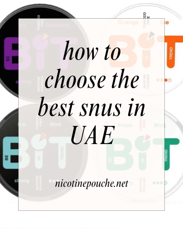 How to Choose Snus in UAE | Buy Legal Nicotine Pouches in Dubai