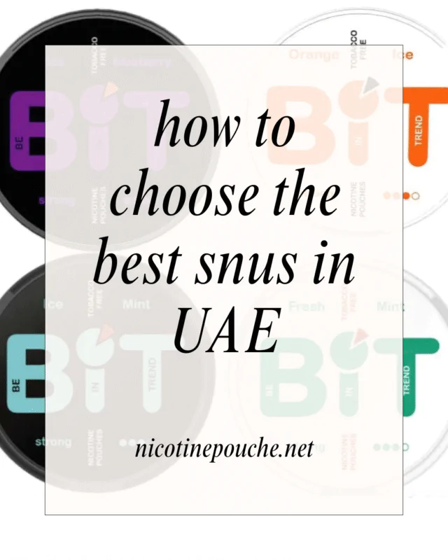 How to Choose Snus in UAE | Buy Legal Nicotine Pouches in Dubai