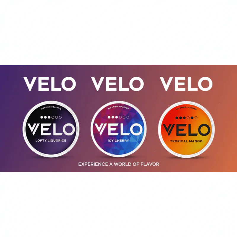 VELO vs White Fox Nicotine Pouches Dubai