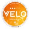 VELO Tropical Ice 10mg